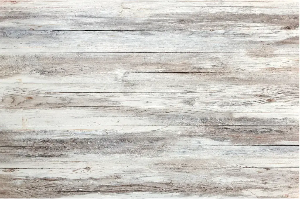 Fondo Presentador Madera rupéstre